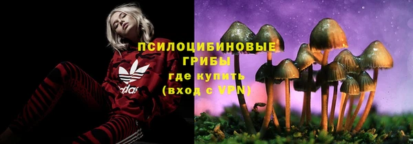 СК Остров