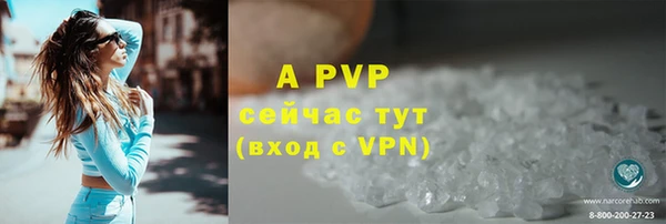 сатива Осинники