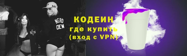 сатива Осинники