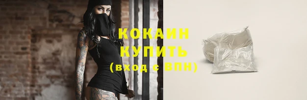 сатива Осинники