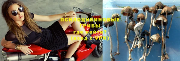 сатива Осинники