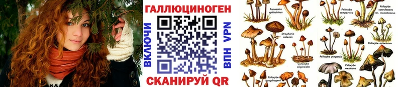 Псилоцибиновые грибы Psilocybine cubensis  купить   Александровск-Сахалинский 